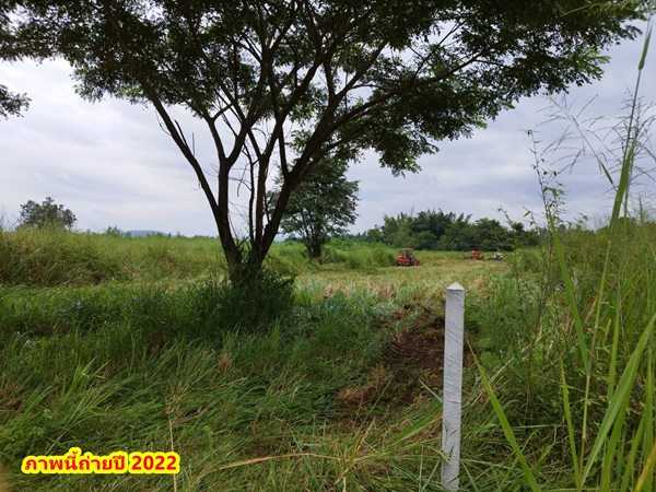 ขายที่ดิน 2ไร่ สวย ทรงสีเหลี่ยมผืนผ้า ใกล้แม่น้ำแควน้อย อยู่บ้านท่ามะเดื่อ หมู่2 จ.กาญจนบุรี อ.ไทรโยค ต.ศรีมงคล โทร 0810117012 (รูปที่ 25)