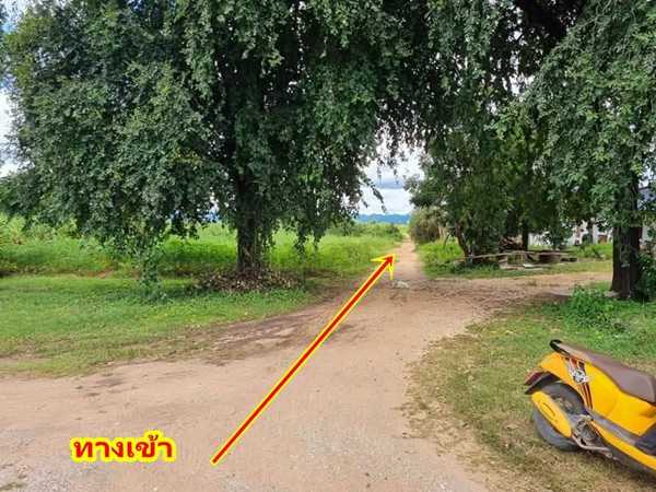 ขายที่ดิน 2ไร่ สวย ทรงสีเหลี่ยมผืนผ้า ใกล้แม่น้ำแควน้อย อยู่บ้านท่ามะเดื่อ หมู่2 จ.กาญจนบุรี อ.ไทรโยค ต.ศรีมงคล โทร 0810117012 (รูปที่ 9)