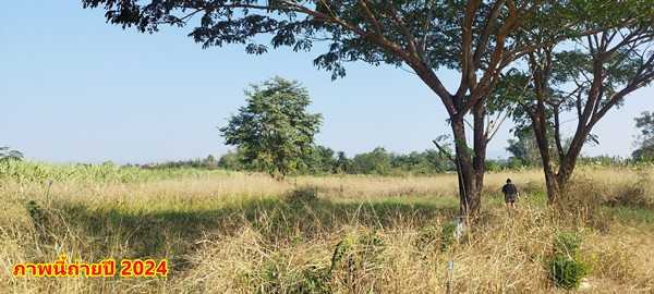 ขายที่ดิน 2ไร่ สวย ทรงสีเหลี่ยมผืนผ้า ใกล้แม่น้ำแควน้อย อยู่บ้านท่ามะเดื่อ หมู่2 จ.กาญจนบุรี อ.ไทรโยค ต.ศรีมงคล โทร 0810117012 (รูปที่ 5)