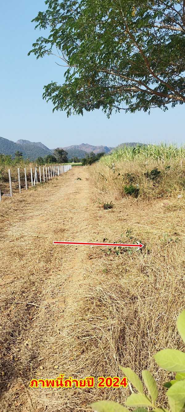 ขายที่ดิน 2ไร่ สวย ทรงสีเหลี่ยมผืนผ้า ใกล้แม่น้ำแควน้อย อยู่บ้านท่ามะเดื่อ หมู่2 จ.กาญจนบุรี อ.ไทรโยค ต.ศรีมงคล โทร 0810117012 (รูปที่ 27)