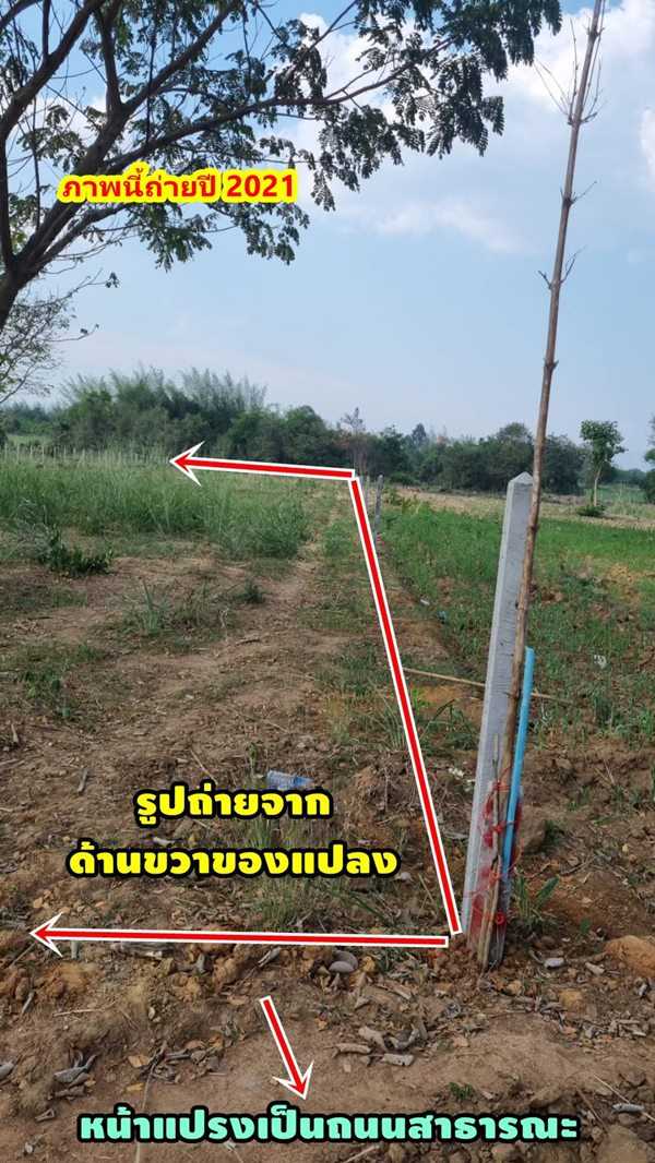 ขายที่ดิน 2ไร่ สวย ทรงสีเหลี่ยมผืนผ้า ใกล้แม่น้ำแควน้อย อยู่บ้านท่ามะเดื่อ หมู่2 จ.กาญจนบุรี อ.ไทรโยค ต.ศรีมงคล โทร 0810117012 (รูปที่ 12)