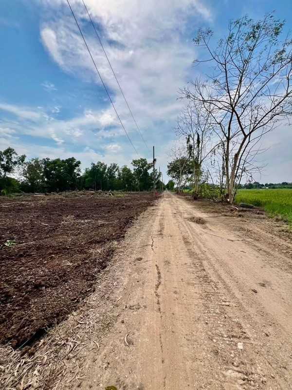 ที่ดินถมแล้วน้ำไฟพร้อม -คนขายก็พร้อมที่ -หนองเสือ คลองสิบ -ปทุมธานี. T.062-1574449 (รูปที่ 11)