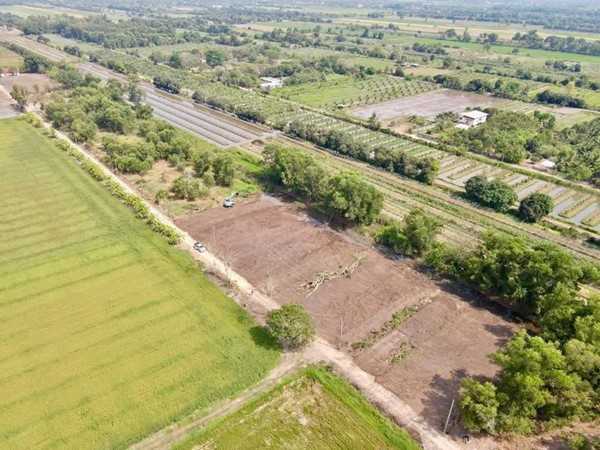 ที่ดินถมแล้วน้ำไฟพร้อม -คนขายก็พร้อมที่ -หนองเสือ คลองสิบ -ปทุมธานี. T.062-1574449 (รูปที่ 6)