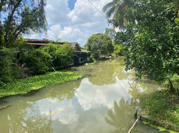 ขายที่ดิน อัมพวา สมุทรสงคราม 13 ไร่ 1 งาน 26 ตรว ติดริมคลอง มีถนนผ่านหน้าสวน โทร 082-9565999 (รูปที่ 6)