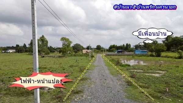 ที่ดินบ้านนาSาคาถูกมาก -สดได้-ผ่อนได้ ( ผ่อนได้ 2 ปี.ฟรีดอก / มี 2.แปลง ) T.062-1574449 (รูปที่ 9)