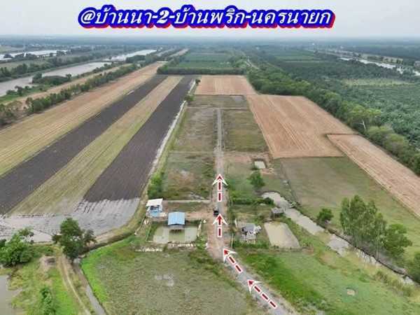ที่ดินบ้านนาSาคาถูกมาก -สดได้-ผ่อนได้ ( ผ่อนได้ 2 ปี.ฟรีดอก / มี 2.แปลง ) T.062-1574449 (รูปที่ 4)