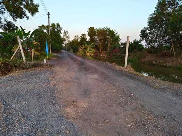 ที่ดินสวนเกษตร ปลายนาร่วมฤดี คลอง11 หนองเสือ สด ผ่อน- T.062-1574449 (รูปที่ 11)