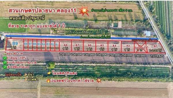 ที่ดินสวนเกษตร ปลายนาร่วมฤดี คลอง11 หนองเสือ สด ผ่อน- T.062-1574449