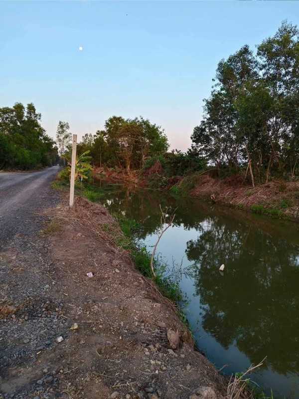 ที่ดินสวนเกษตร ปลายนาร่วมฤดี คลอง11 หนองเสือ สด ผ่อน- T.062-1574449 (รูปที่ 7)