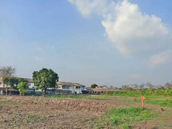 ที่ดินทำเลทองคลอง6 ใกล้ราชมงคลธัญบุรี ที่ดินผ่อนได้ T.062-1574449 (รูปที่ 2)