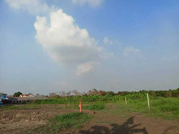 ที่ดินทำเลทองคลอง6 ใกล้ราชมงคลธัญบุรี ที่ดินผ่อนได้ T.062-1574449 (รูปที่ 4)