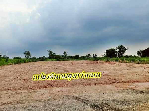 ที่ดินสวยถมสูงแล้วผ่อนได้ 4.ปี.ฟรีดอกโซนหนองจอก-สุวินทวงค์ 94/1.-T.062-1574449 (รูปที่ 3)