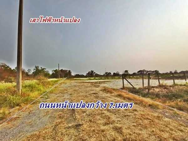 ที่ดินสวยถมสูงแล้วผ่อนได้ 4.ปี.ฟรีดอกโซนหนองจอก-สุวินทวงค์ 94/1.-T.062-1574449 (รูปที่ 12)