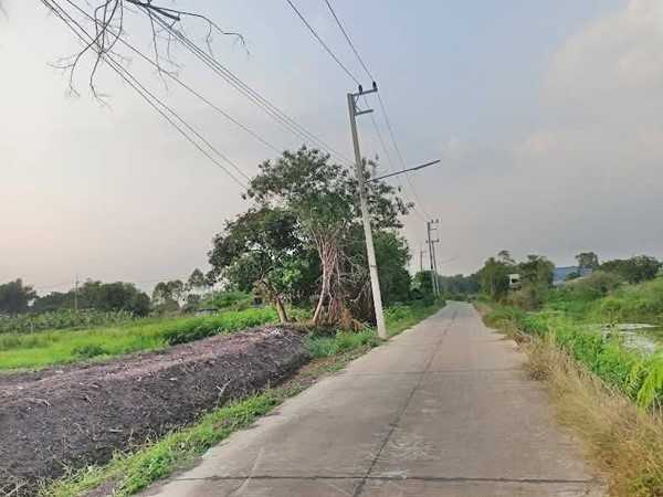 ที่ดินทำเลดีติดถนนคอนกรีตวิวริมน้ำที่หนองแคสระบุรี ต.หนองจระเข้ อ.หนองแค จ.สระบุรี T.062-1574449 (รูปที่ 13)