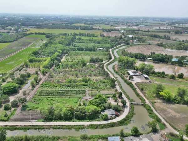 ที่ดินทำเลดีติดถนนคอนกรีตวิวริมน้ำที่หนองแคสระบุรี ต.หนองจระเข้ อ.หนองแค จ.สระบุรี T.062-1574449 (รูปที่ 4)