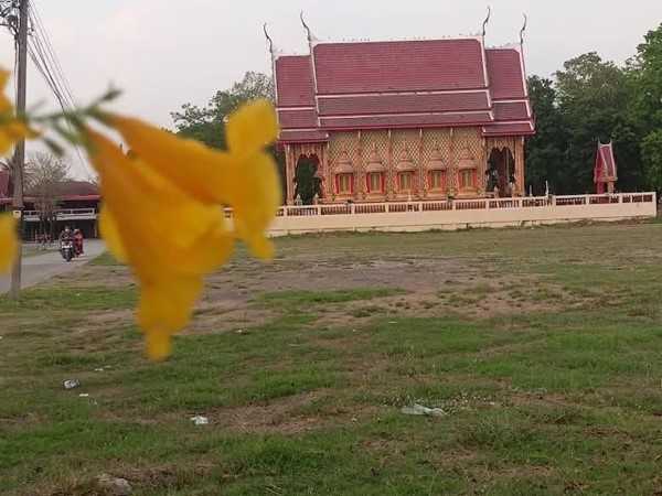 ที่ดินทำเลดีติดถนนคอนกรีตวิวริมน้ำที่หนองแคสระบุรี ต.หนองจระเข้ อ.หนองแค จ.สระบุรี T.062-1574449 (รูปที่ 7)