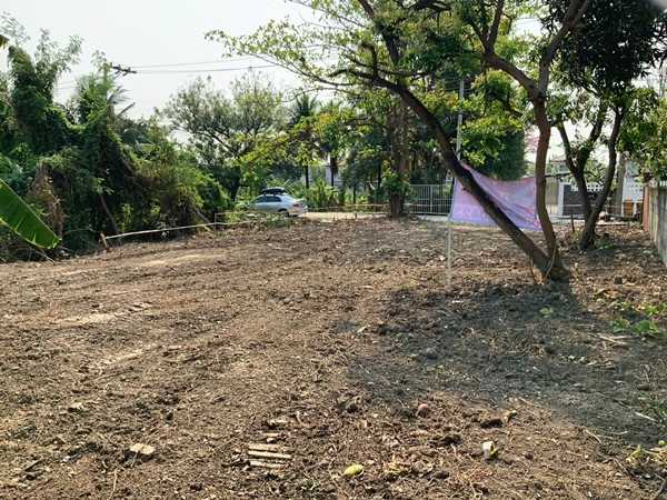 ขายที่ดิน บางใหญ่ ใกล้รถไฟฟ้า 99 วา 2.4 ล้าน 0864540423 (รูปที่ 3)