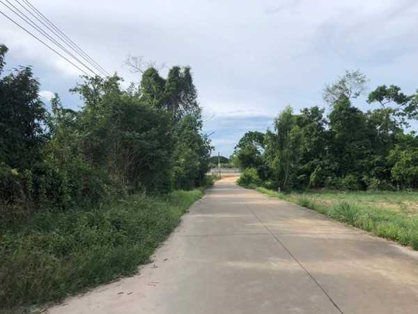 ขายที่ดิน สวนทุเรียน เมืองระยอง ติดแหล่งน้ำธรรมชาติ ใกล้ทะเล วิวภูเขา เนื้อที่ 4 ไร่ 3 งาน 29 ตร.ว. โทร 0852619111 เจ้าของขายเอง (รูปที่ 7)