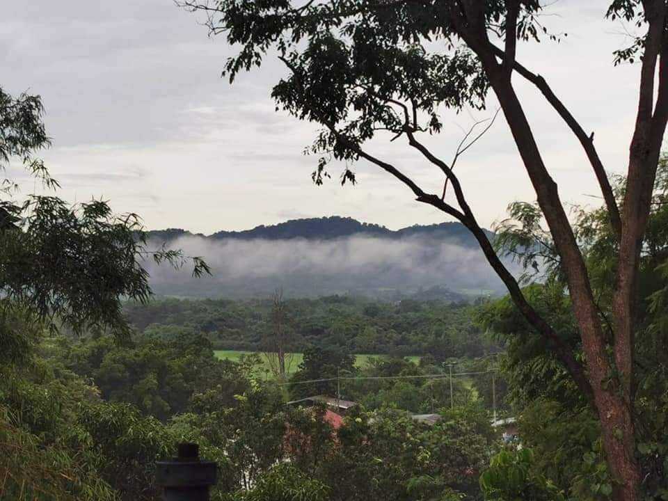 ขาย/ให้เช่า บ้านบนเนินเขา มวกเหล็ก ใกล้เขาใหญ่ วิวเขาสวย (รูปที่ 9)