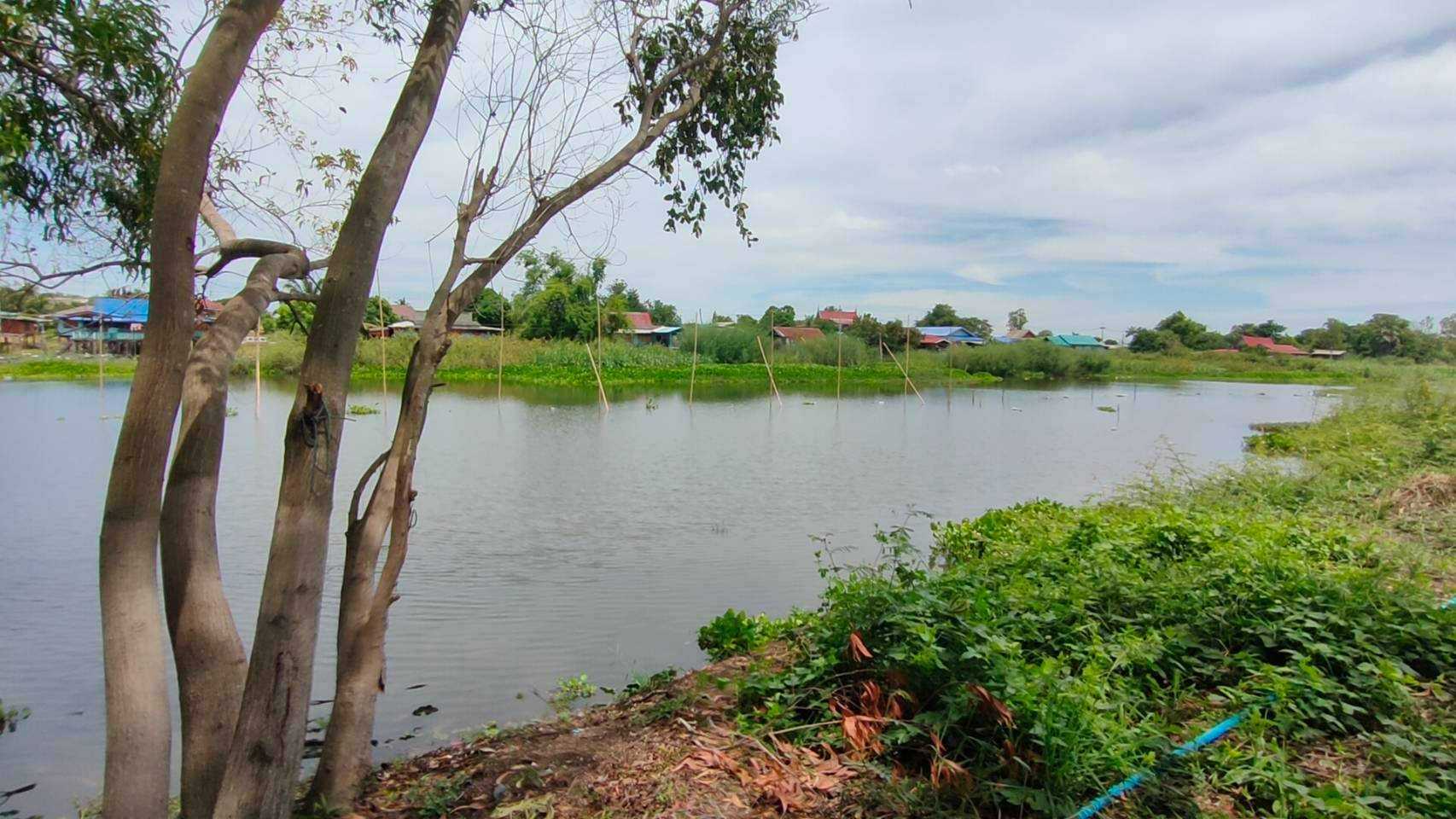 ที่ดินสวย ริมน้ำ อ.เสนา อยุธยา (รูปที่ 3)