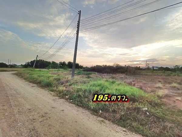 ที่ดินถมแล้วแปลงมุมติดถนน2ด้านเข้าออกได้-3.ทางที่คลอง11ธัญบุรี-T.062-1574449 (รูปที่ 16)