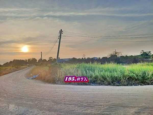 ที่ดินถมแล้วแปลงมุมติดถนน2ด้านเข้าออกได้-3.ทางที่คลอง11ธัญบุรี-T.062-1574449 (รูปที่ 15)