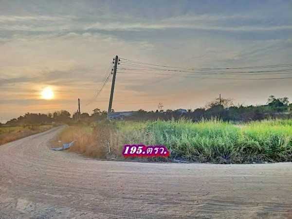 ที่ดินถมแล้วแปลงมุมติดถนน2ด้านเข้าออกได้-3.ทางที่คลอง11ธัญบุรี-T.062-1574449 (รูปที่ 4)