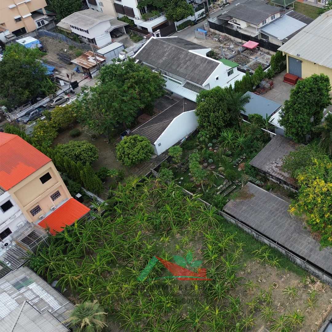ขายที่ดินเปล่า191ตรว. ซ.อ่อนนุช14 (รูปที่ 8)