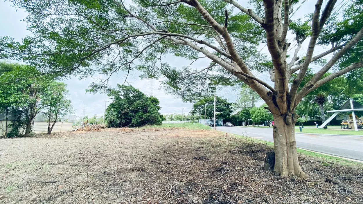ขายที่ดินเปล่าขนาด 214 ตรว. ต่ำกว่าประเมิน ในโครงการอารียา โคโม่ ลาดกระบัง ใกล้ Siam Premium Outlet และสนามบินสุวรรณภูมิ (รูปที่ 7)