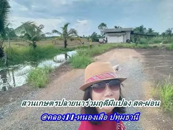 ที่ดินสวนเกษตร ชายทุ่ง ไม่ไกลกรุงแค่คลอง11 หนองเสือ ผ่อนได้สบายใจ- T.062-1574449 (รูปที่ 9)