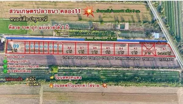 ที่ดินสวนเกษตร ชายทุ่ง ไม่ไกลกรุงแค่คลอง11 หนองเสือ ผ่อนได้สบายใจ- T.062-1574449 (รูปที่ 8)