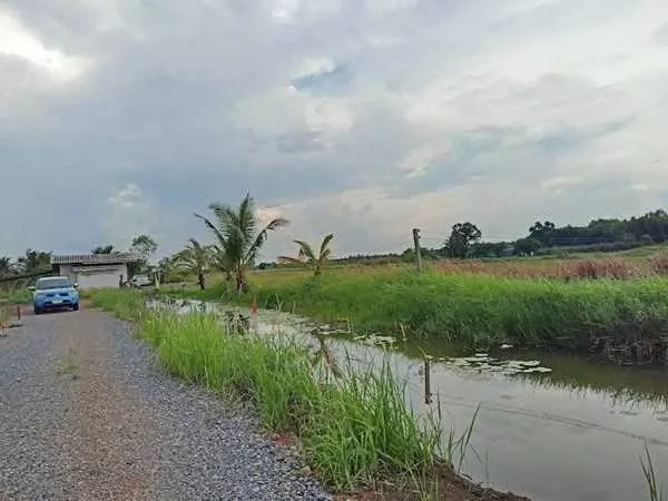ที่ดินสวนเกษตร ชายทุ่ง ไม่ไกลกรุงแค่คลอง11 หนองเสือ ผ่อนได้สบายใจ- T.062-1574449 (รูปที่ 5)