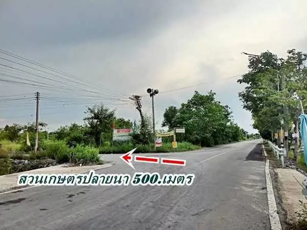 ที่ดินสวนเกษตร ชายทุ่ง ไม่ไกลกรุงแค่คลอง11 หนองเสือ ผ่อนได้สบายใจ- T.062-1574449 (รูปที่ 11)