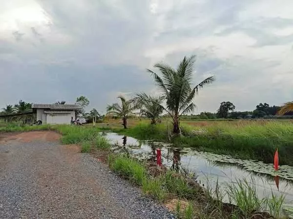 ที่ดินสวนเกษตร ชายทุ่ง ไม่ไกลกรุงแค่คลอง11 หนองเสือ ผ่อนได้สบายใจ- T.062-1574449 (รูปที่ 4)