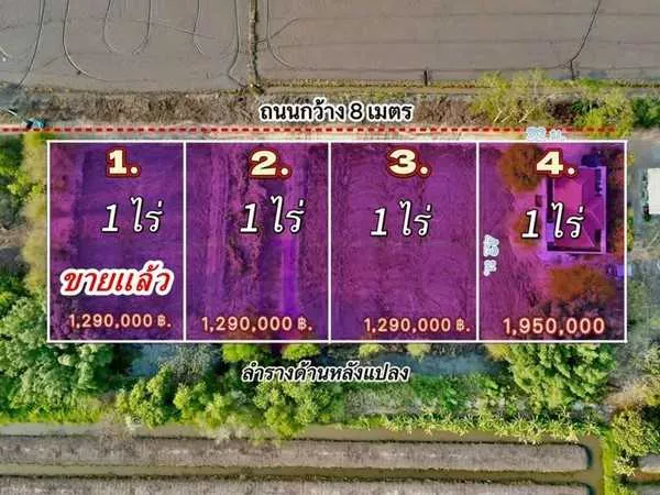 ที่สวยมากหน้าแปลงวิวชายทุ่งหลังแปลงติดน้ำที่ดินถมแล้วทำเลงามบรรยากาศบ้านสวนที่คลองสิบ.- T.062-1574449 (รูปที่ 11)