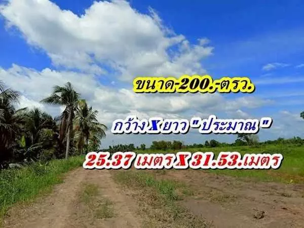 ไม่มีเงินก้อนก็ผ่อนชิวล์-ที่คลอง11หนองเสือ-ที่ดินเงินผ่อน-ผ่อนที่-ฟรีดอกเบี้ย- T.062-1574449 (รูปที่ 12)