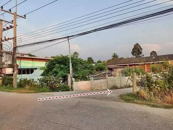 ที่ดินถูกมากใกล้ชุมชนมีเพื่อนบ้านที่คลอง13-หนองหมู-สระบุรี.T.062-1574449 (รูปที่ 12)
