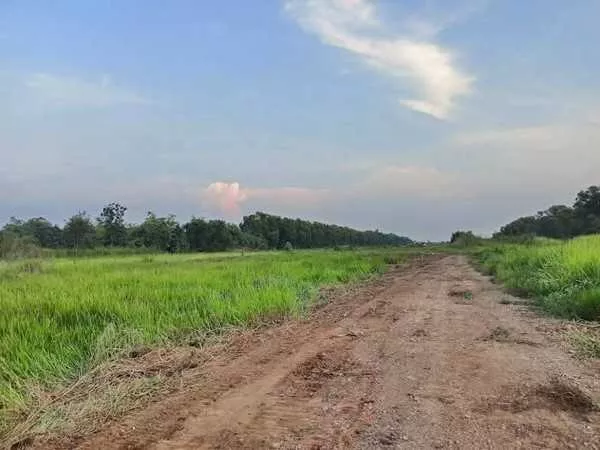 ที่ดินถูกมากใกล้ชุมชนมีเพื่อนบ้านที่คลอง13-หนองหมู-สระบุรี.T.062-1574449 (รูปที่ 11)