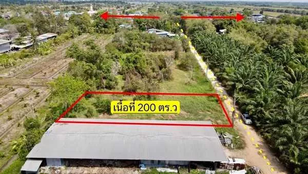 ลดราคาที่ดินคลอง12-หนองเสือ-ถมแล้วน้ำไฟพร้อม -T.062-1574449 (รูปที่ 2)
