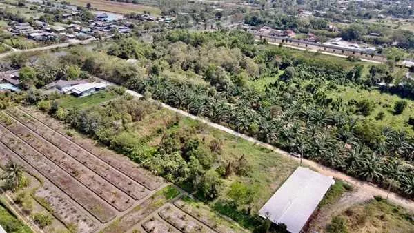 ลดราคาที่ดินคลอง12-หนองเสือ-ถมแล้วน้ำไฟพร้อม -T.062-1574449 (รูปที่ 6)