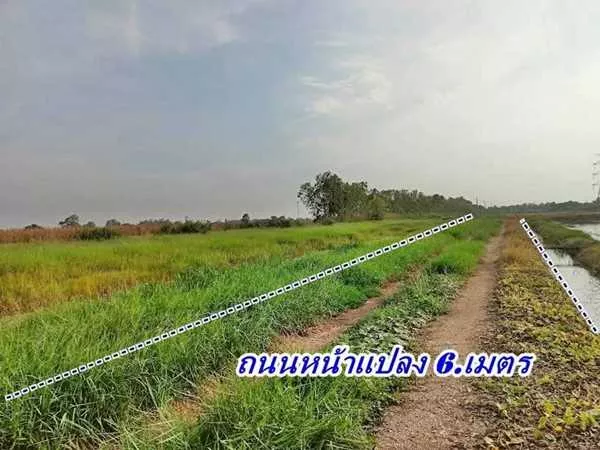 2 แปลงสุดท้าย ขายถูกมากที่ดินโซนวังน้อย - T.062-1574449 (รูปที่ 8)