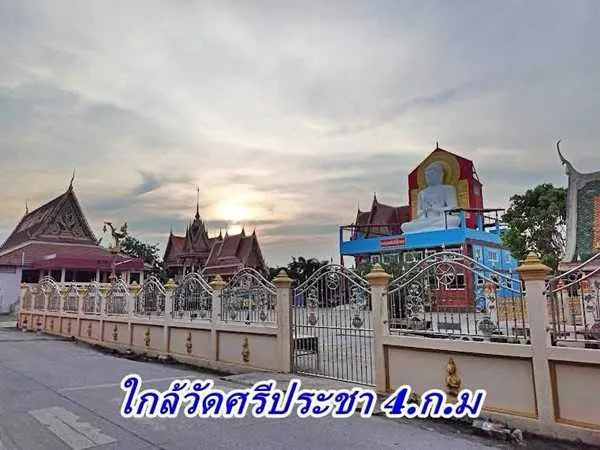 2 แปลงสุดท้าย ขายถูกมากที่ดินโซนวังน้อย - T.062-1574449 (รูปที่ 12)