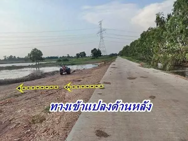 2 แปลงสุดท้าย ขายถูกมากที่ดินโซนวังน้อย - T.062-1574449 (รูปที่ 19)