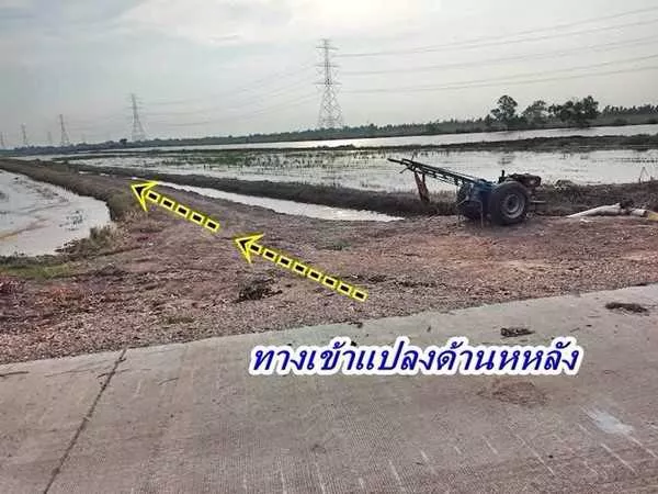 2 แปลงสุดท้าย ขายถูกมากที่ดินโซนวังน้อย - T.062-1574449 (รูปที่ 9)