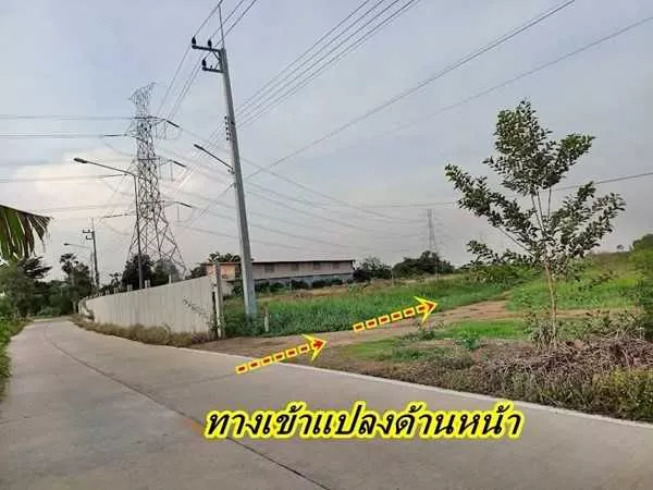 2 แปลงสุดท้าย ขายถูกมากที่ดินโซนวังน้อย - T.062-1574449 (รูปที่ 14)
