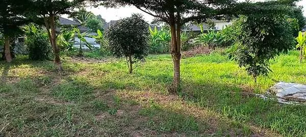 ขายที่ดิน อำเภอเมืองพะเยา 1 ไร่ โฉนด พร้อมโอน โทร 0817830178 (รูปที่ 5)