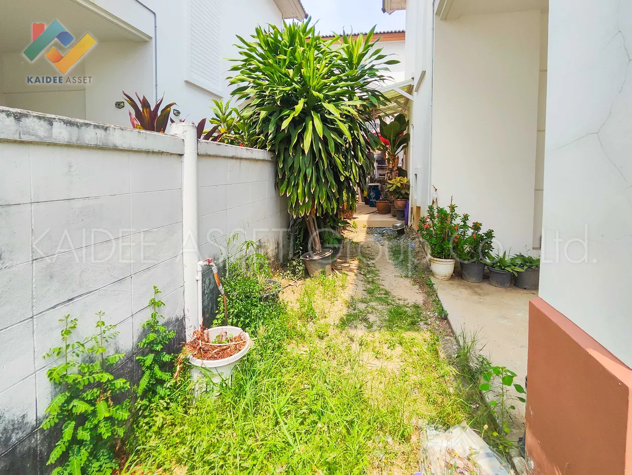 ชวนชื่น เพชรเกษม 81 บ้านเดี่ยว หนองแขม ขายถูกมาก ! (รูปที่ 10)