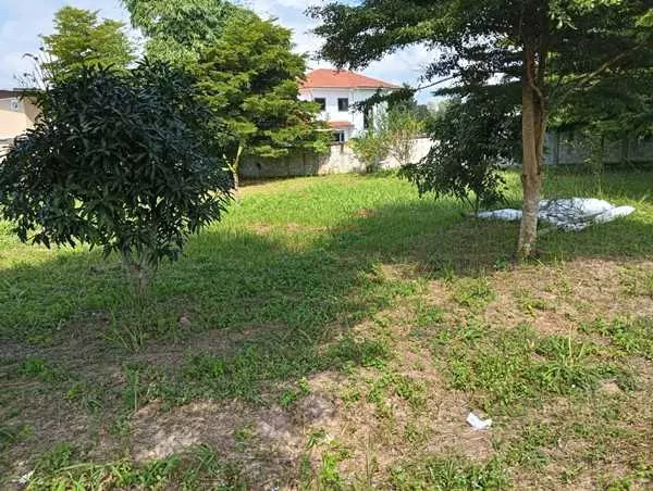 ขายที่ดิน อ.เมืองพะเยา ต.บ้านต๋อม 1 ไร่ โฉนด พร้อมโอน โทร 0817830178 (รูปที่ 2)