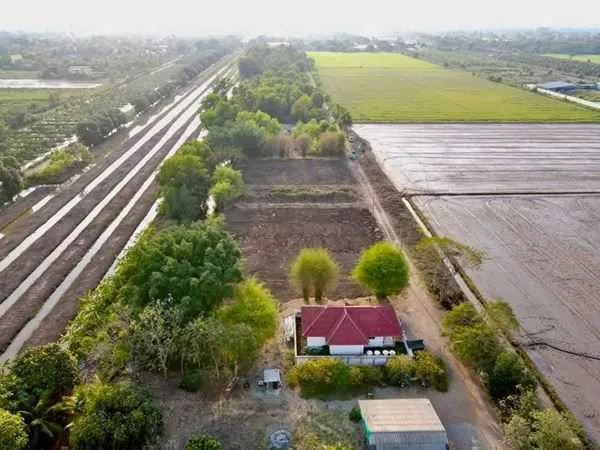 ที่ถมแล้ว-น้ำไฟครบ-สวยถูกดีวิวชายทุ่ง หลังแปลงติดน้ำที่คลอง10-หนองเสือ T.062-1574449 (รูปที่ 7)