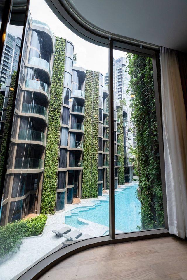 ให้เช่าคอนโด ASHTON RESIDENCE SUKHUMVIT 41 เลี้ยงสัตว์ได้ (รูปที่ 11)